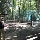 Lektorzy na paintballu w hałcnowskim lesie