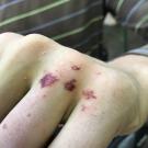 Lektorzy na paintballu w hałcnowskim lesie